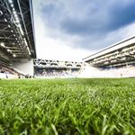 XG Vitesse Gelredome